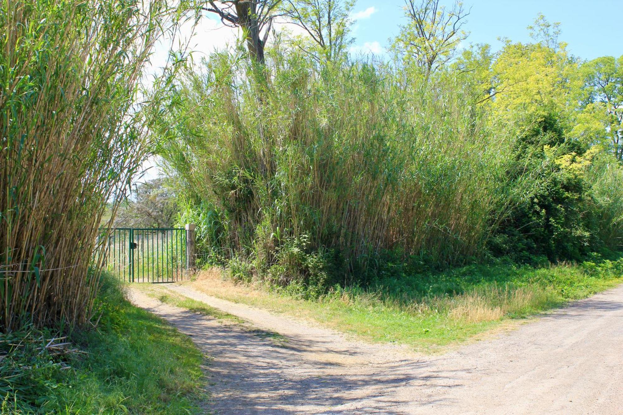 Lobilum En Camargue Villa Saint-Martin-de-Crau Dış mekan fotoğraf